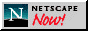 Netscape (tm) Communicator